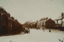 stoke trent for sale  CHIPPENHAM