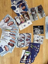 Panini lionesses eternity for sale  CHELMSFORD
