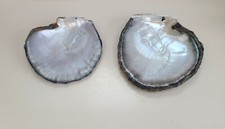 Coquillage tahiti nacre d'occasion  Le Mans