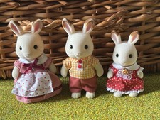 Sylvanian families chocolate for sale  TUNBRIDGE WELLS