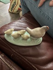 Nao mother hen for sale  HULL
