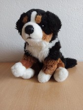 Berner sennenhund hermann gebraucht kaufen  Duisburg