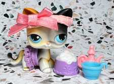 lps short hair cat for sale  Camarillo