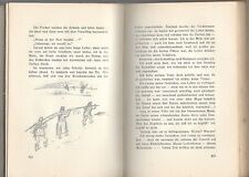 Roda Rodas Roman Erstausgabe 1925 Illustrationen von A.Szenes comprar usado  Enviando para Brazil