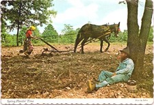 Spring planting time for sale  Shawnee