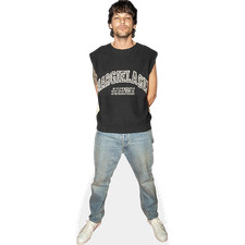 Louis tomlinson silhouette d'occasion  Expédié en France