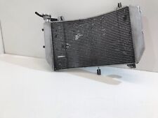 Radiatore acqua yamaha usato  Rozzano