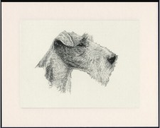 Wire fox terrier for sale  COLEFORD