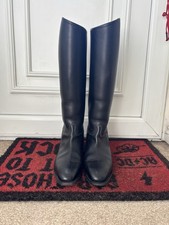 Konigs komet dressage for sale  SUNDERLAND