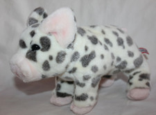 Spotted pig stuffed for sale  Cedar Park