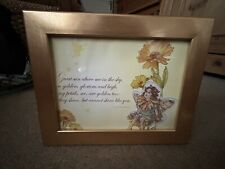 Flower fairies framed for sale  WREXHAM