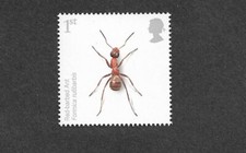 Red barbed ant for sale  MONTGOMERY