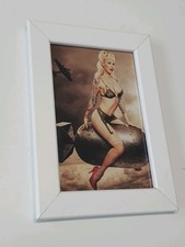 Pin girl bombe gebraucht kaufen  Salzgitter