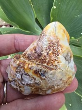 Huge chunk pleistocene for sale  Frisco