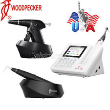 Woodpecker gutta percha d'occasion  Expédié en Belgium