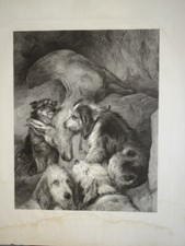 Edwin landseer immense d'occasion Edwin landseer immense d'occasion  Périgueux