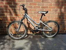 Ridgeback harmony girl for sale  ENFIELD