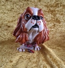 Little paws cavalier for sale  LINCOLN