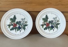 Portmeirion holly ivy for sale  LICHFIELD