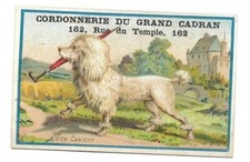 Dog poodle chromo d'occasion  Expédié en Belgium
