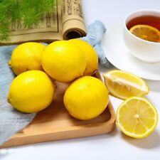 Lemon seeds organic for sale  Hartville