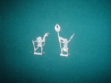 Wood elf standardbearer usato Wood elf standardbearer usato  Manziana