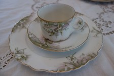 Schönstes service rosenthal gebraucht kaufen  Obernzell