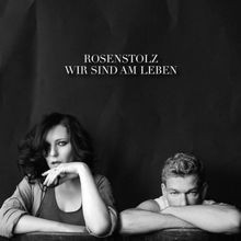 Wir leben rosenstolz gebraucht kaufen  Berlin