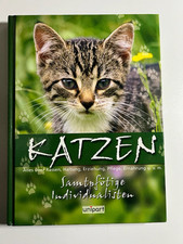 Katzen samtpfötige individual gebraucht kaufen  Norden