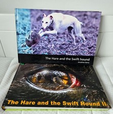 Hare swift hound for sale  UK