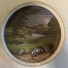 Nbj china staffordshire for sale  SANDOWN