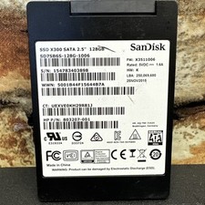 Sandisk x300 128gb for sale  Dallas