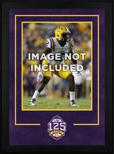Usado, Moldura vertical para fotos LSU Tigers DLX 16"" x 20"" com logotipo de 125 anos de futebol comprar usado  Enviando para Brazil