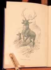 1892 humble friends for sale  BATH