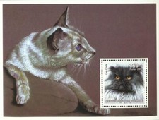 Gatti guinea usato  Spedire a Italy