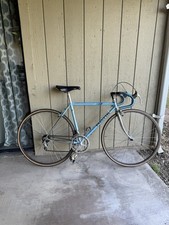 1980 paletti campagnolo for sale  Fresno