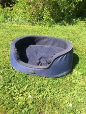 Chameau medium sized for sale  MORETON-IN-MARSH