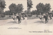 Paris garden acclimatization d'occasion  Expédié en Belgium