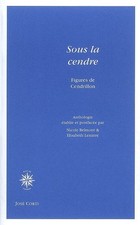 Cendre figures cendrillon d'occasion  France