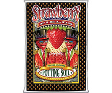 Foxfarm strawberry fields for sale  Hagerstown