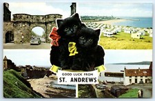 Postcard andrews fife for sale  TEWKESBURY