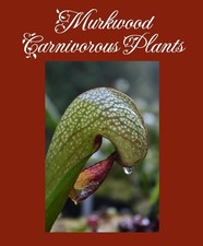 New 2025 darlingtonia for sale  USA