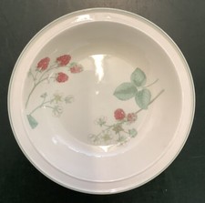 10x raspberry cane for sale  STOKE-ON-TRENT