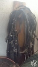 Harnais cheval cob d'occasion  Le Quesnoy