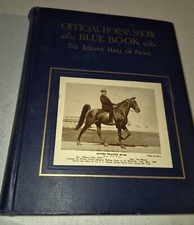 Rare antique vtg for sale  Albany