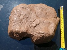 Large exo terra for sale  MALVERN