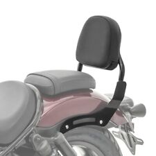 Sissy bar xs3 gebraucht kaufen  Meinerzhagen