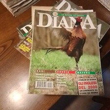 Rivista diana caccia usato  Lonato del Garda