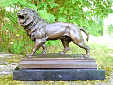 bronze lowe gebraucht kaufen  Sonneberg