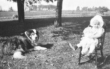 Foto vintage Bernese Mountain Dog vigiando bebê com boneca em cadeira de balanço comprar usado  Enviando para Brazil
